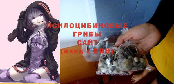 СК Алзамай