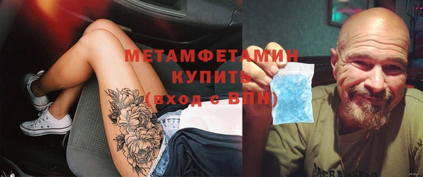 крисы Алексин