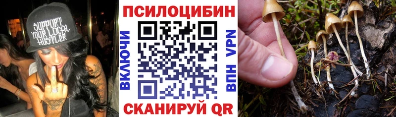Галлюциногенные грибы Psilocybe  Купить где  Весьегонск 